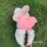 妈妈带本兔兔出来玩啦～ 好开心哦   附带本兔兔几张