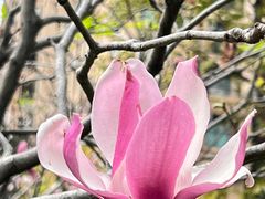 -晓港公园