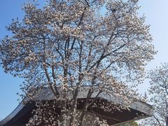 -白塘生态植物园