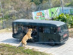 -深圳野生动物园