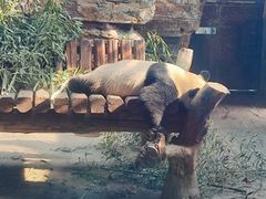 -石家庄市动物园