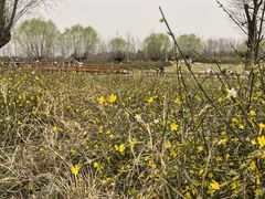 -汉长安城未央宫国家考古遗址公园
