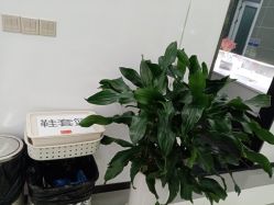 -悟空祛痘·专业祛痘机构