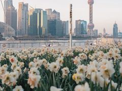 -北外滩滨江绿地