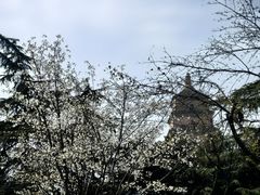 -大慈恩寺(大雁塔)