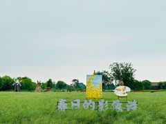 -长兴太湖图影湿地文化园