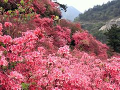-木兰云雾山