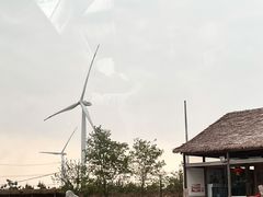 -东海森林温泉度假酒店