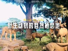 -国家自然博物馆