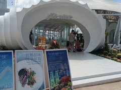 -巨鹏飞梦幻水世界
