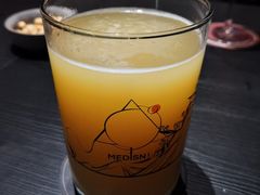 -MEDISN·药厂