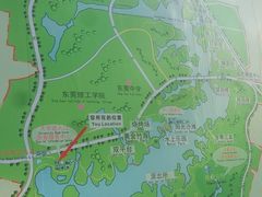 -松山湖南湖湾露营营地