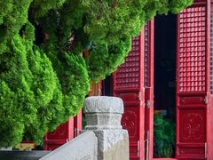 -苏州文庙(姑苏区)