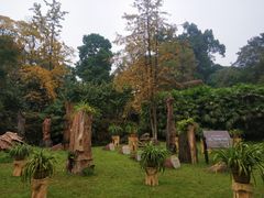 -南山植物园