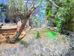 -上海大自然野生昆虫馆