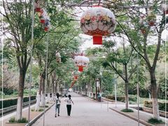 -洛阳市隋唐城遗址植物园