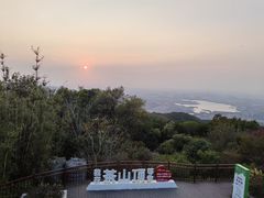 -东莞市大岭山森林公园