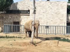 -石家庄市动物园