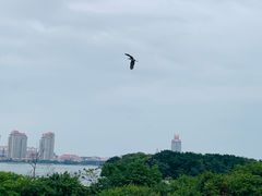 -厦门园林博览苑