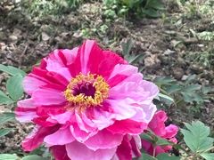 -江南大学(蠡湖校区)