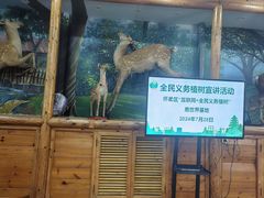 -北京鹿世界主题园