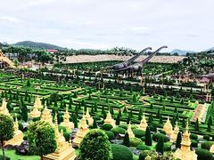 -东芭乐园
