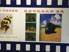 -上海昆虫博物馆