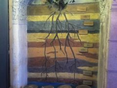 -青岛葡萄酒博物馆