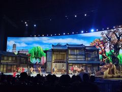 -《驼铃传奇》秀