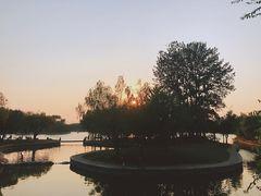 -莱西月湖公园