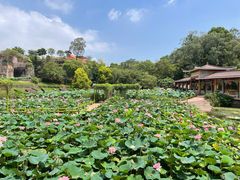 -广州莲花山旅游区
