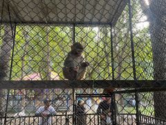 -长白岛森林公园