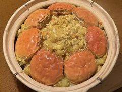 -吉士·星座 JISHI CONSTELLATION(新天地店)