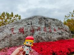 -上海海湾国家森林公园