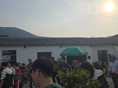 -苏州市吴中区光福窑上花果蜜饯厂