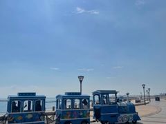 -渡海小渔村.老辈日照菜