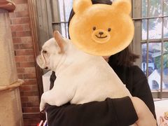 -more than meow吴止猫主题餐厅(承德 中船汇店)