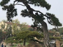 -罗红摄影艺术馆