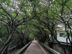 -烟台山景区