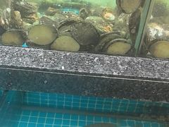 -渔码头食府(蓬莱阁店)