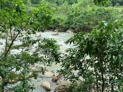 -四会奇石河风景区