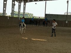 -松声马术俱乐部