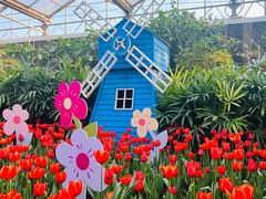 -南宫五洲植物乐园