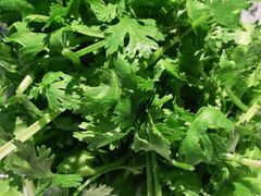 -里岛烤鱼(东港凯虹广场店)