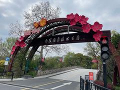 -浔味·山屿湖·正宗淳牌全鱼宴老字号