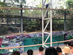 -清迈夜间动物园