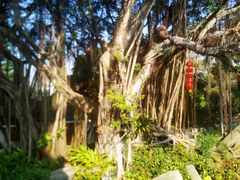 -船政文化景区-罗星塔公园