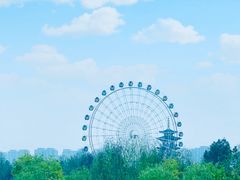-洋湖国家湿地公园