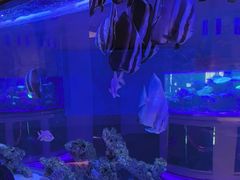 -上和臻品中国菜(花园街店)