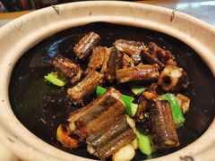 招牌啫黄鳝-啫神·广州地标美食(北京路店)